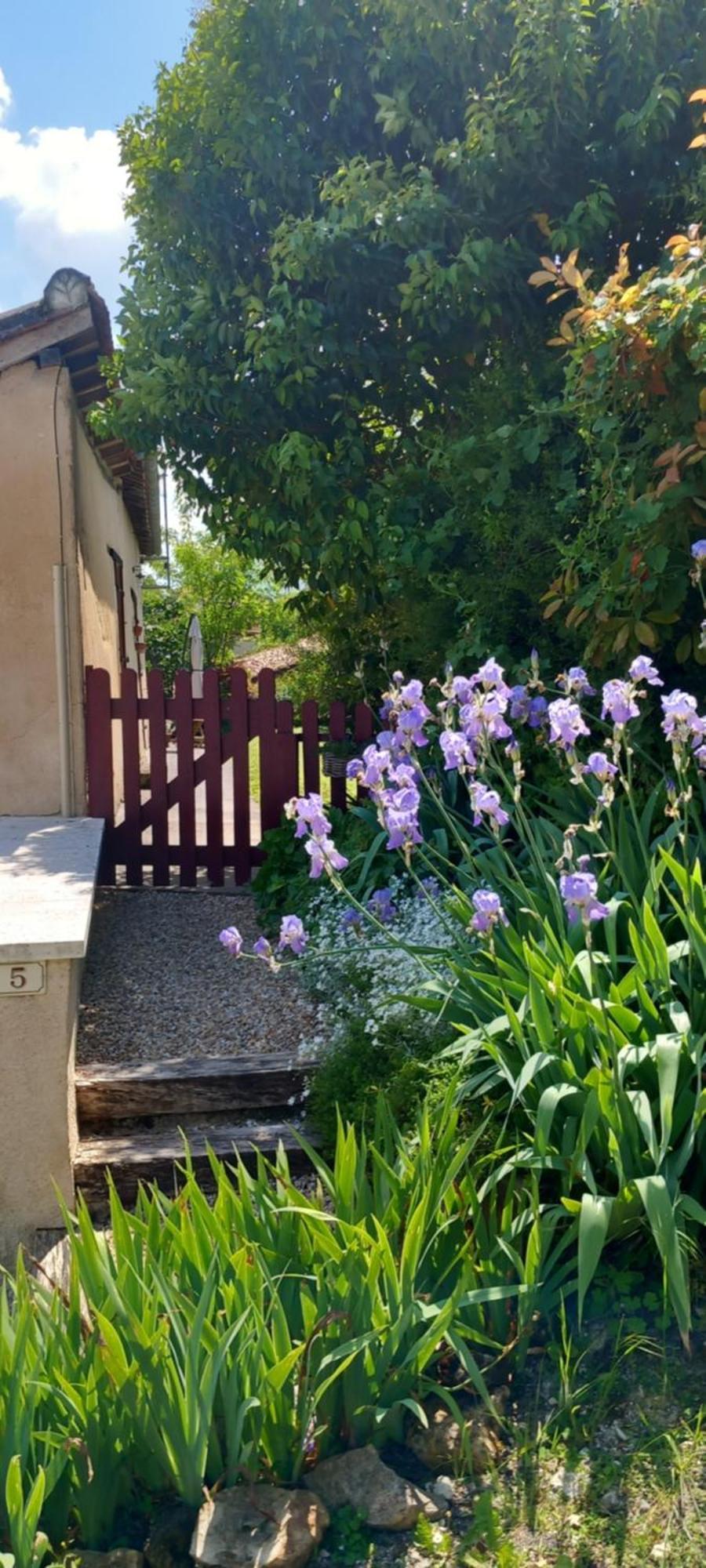 La Maison Du Tourniquet Aubeterre-sur-Dronne Buitenkant foto